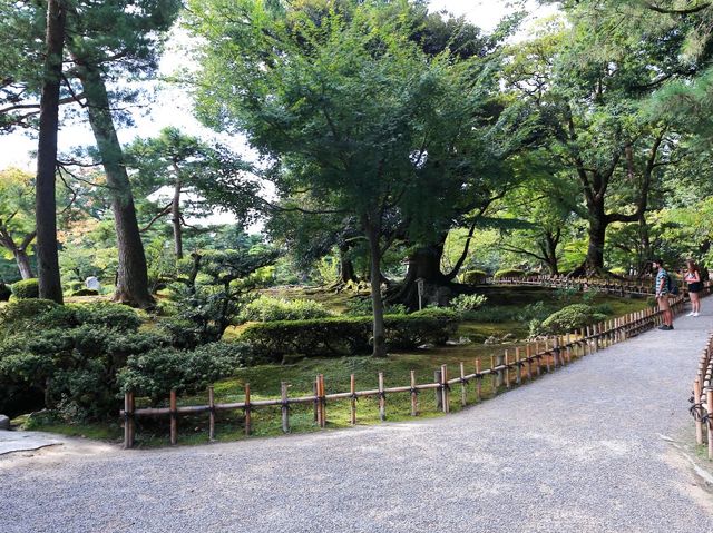 日本三大名園~兼六園｜金澤必訪景點｜金澤名勝古蹟｜拍照打卡感受傳統日式氛圍