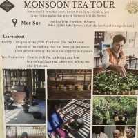 【チェンマイ】お土産に困ったら、オーガニック紅茶のMonsoon Tea