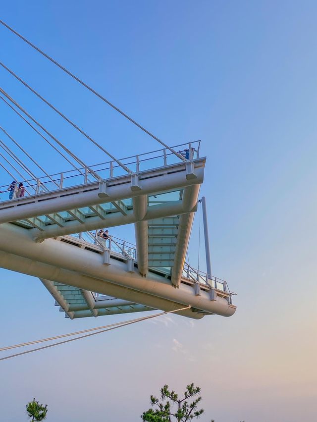 남해 바다를 한눈에 볼 수 있는 🗼설리스카이워크