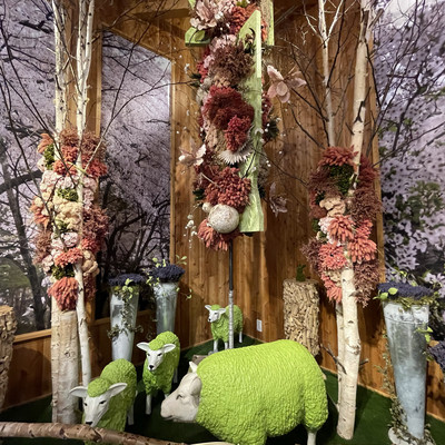 紫陽花ドライフラワー　A2 105サイズ 北海道産 紫陽花とミモザ、マーガレットの自家製ドライフラワーリース | Hana Akari