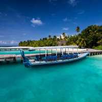 The Amazing Marine Life In Maldives 