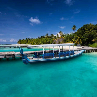 The Amazing Marine Life In Maldives