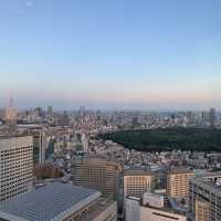 Stunning view of Tokyo for free