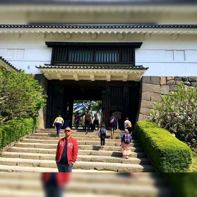 Beautiful Medieval Japanese Castle