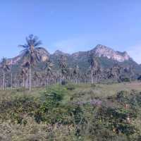 หากสามร้อยยอด ปราณบุรี จ.ประจวบคีรีขันธ์
