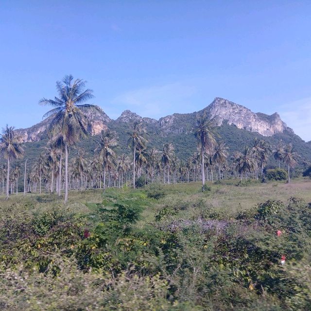 หากสามร้อยยอด ปราณบุรี จ.ประจวบคีรีขันธ์