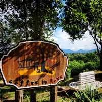 Coffe in Love Restaurant and Viewpoint