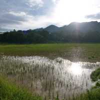 Rantepao - At the heart of Toraja rituals