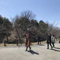 【長野県・上田市】上田城🏯