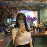 도산 맘마미아