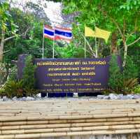 419 ขั้นบันได