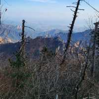 Jungcheong Shelter View