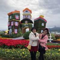 心花開//2022台中國際花毯節