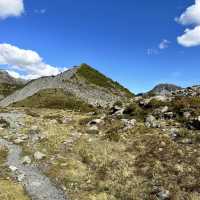 NZ Mt Cook Kea Point 