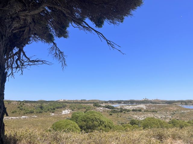 Rottnest Island! Parakeet Bay! 📸😎