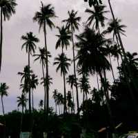 Samal Island, Philippines