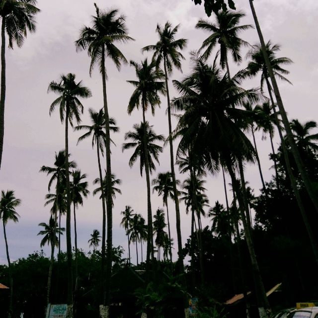 Samal Island, Philippines