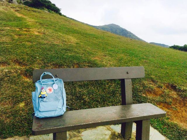 全港最高的山｜大帽山
