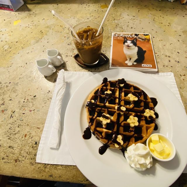Chico cafe ร้านคาเฟ่แมวย่านทองหล่อ