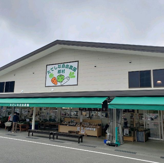 【長野】たてしな自由農園　原村