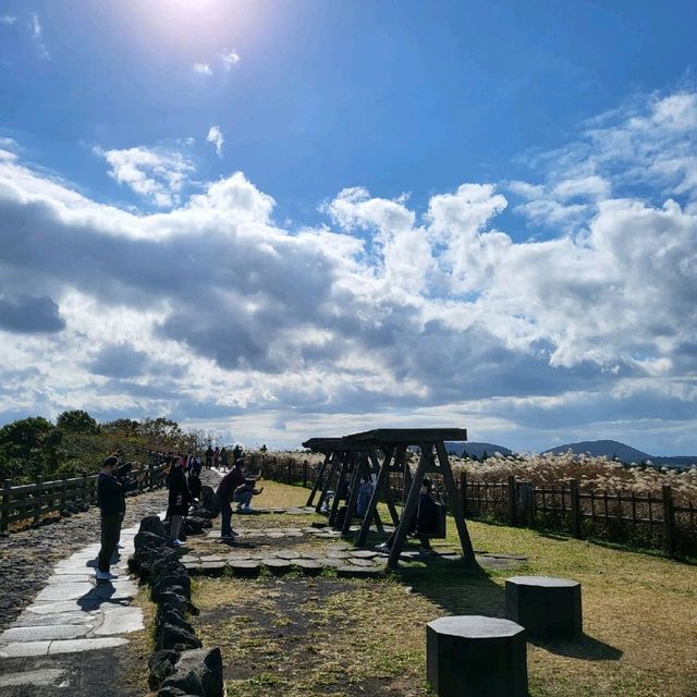 제주도 홀로여행 - 산굼부리 (with 억새s)