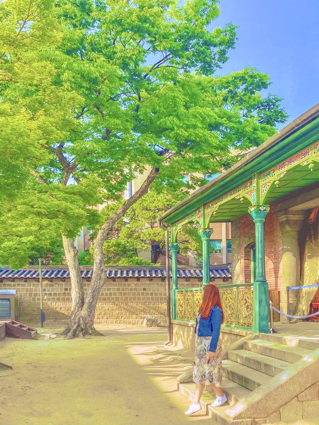 궁궐의 재발견, 서울 도심의 낭만 덕수궁✨
