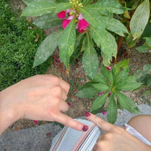 김해 대청계곡 피크닉 