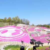 산청군 생초조각공원 꽃잔디축제🌼🌸🌺