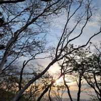 [등산] 산중의 산, 지리산 천왕봉