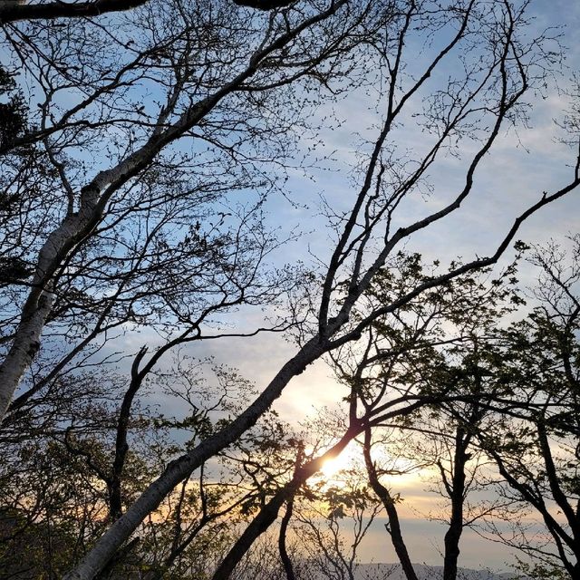 [등산] 산중의 산, 지리산 천왕봉