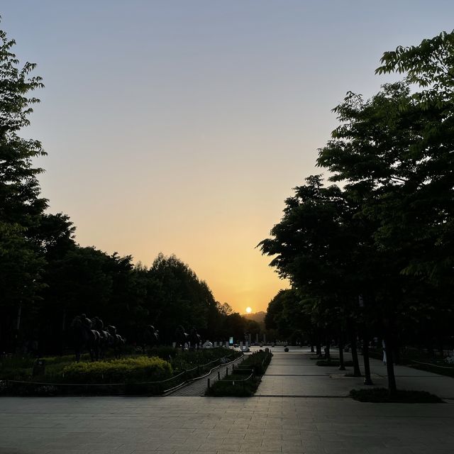 봄엔 서울숲에서 피크닉이죠! 🌱🌸