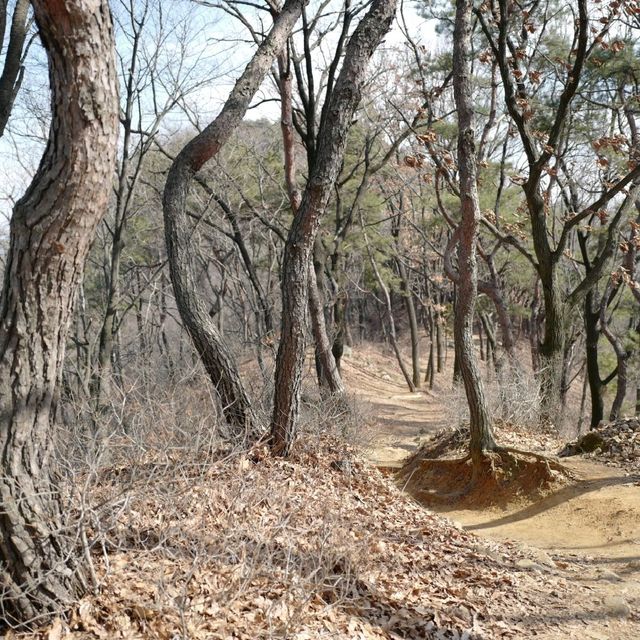 대전 등산 보문산 