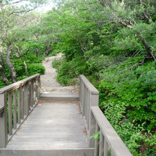 양산 천성산 등산