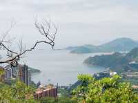 鰂魚涌坳
