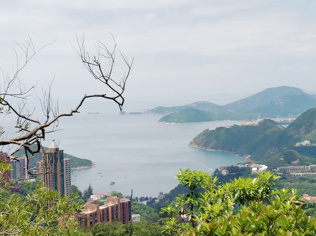 鰂魚涌坳