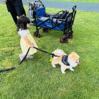 ペットと子供連れに優しい軽井沢アウトレット