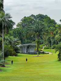 세계 최고의 무료 식물원 Singapore Botanic Gardens