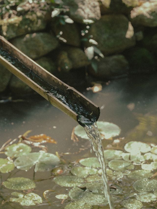 고즈넉한 감성 느끼며 산책하기 좋은 곳, 쌍산재