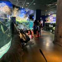 Seville aquarium 