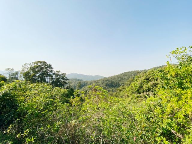 大欖郊野公園