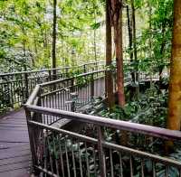 Hiking In Kent Ridge Park On Weekends 