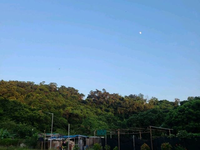 長洲西灣