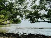 หาดราชมงคล ตรัง #ทริปไม่ได้มาล่าเมียน้อย