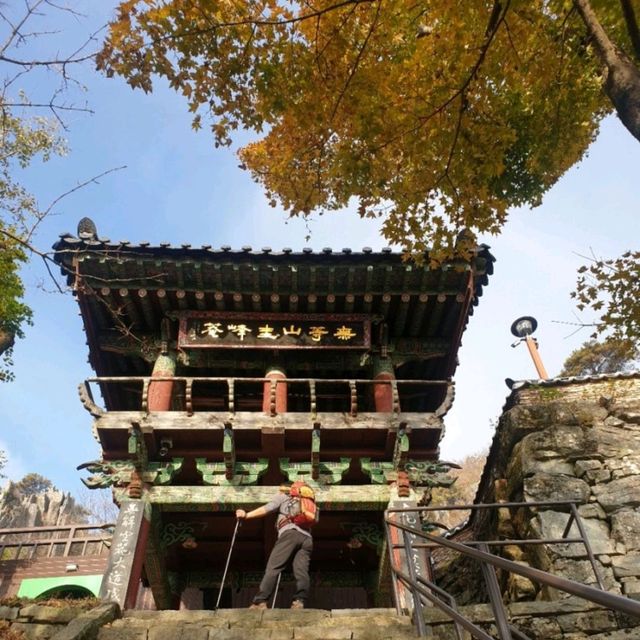 전라도 명품 단풍길