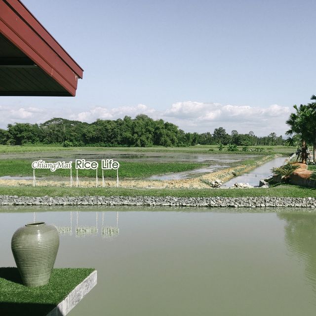 ร้านกาแฟบรรยากาศดี - หลีกหนีความวุ่นวายในเมืองใหญ่