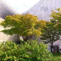 DDP (Dongdaemun Design Plaza)