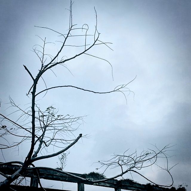 秋天阿根納，像電影一樣動人！