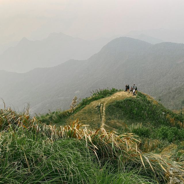 ภูชี้ฟ้า - ชมทะเลหมอกเคล้าลมหนาวท่ามกลางขุนเขา ภูชี้ฟ้า - ชมทะเลหมอกเคล้าลมหนาวท่ามกลางขุนเขา