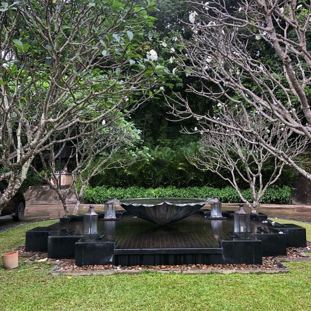 beautiful resort in a lush jungle 