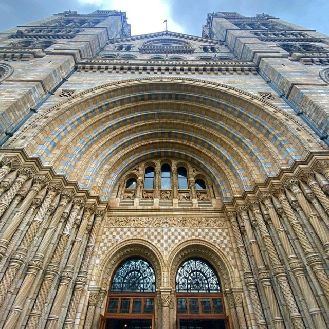 London Natural History Museum 🖼️